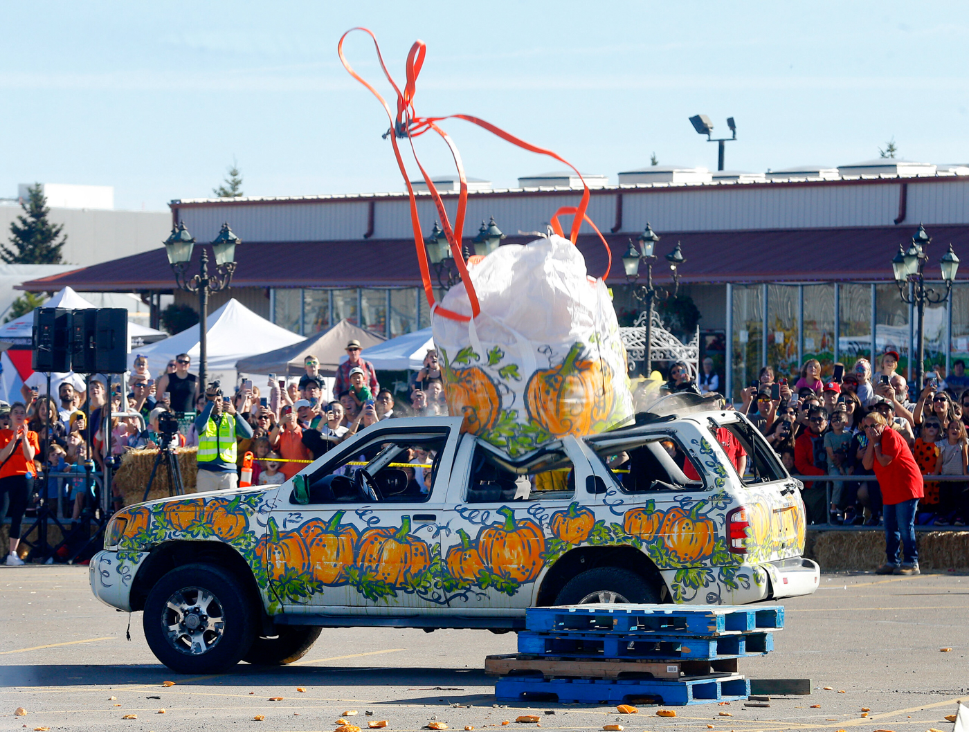 What to do in October Calgary