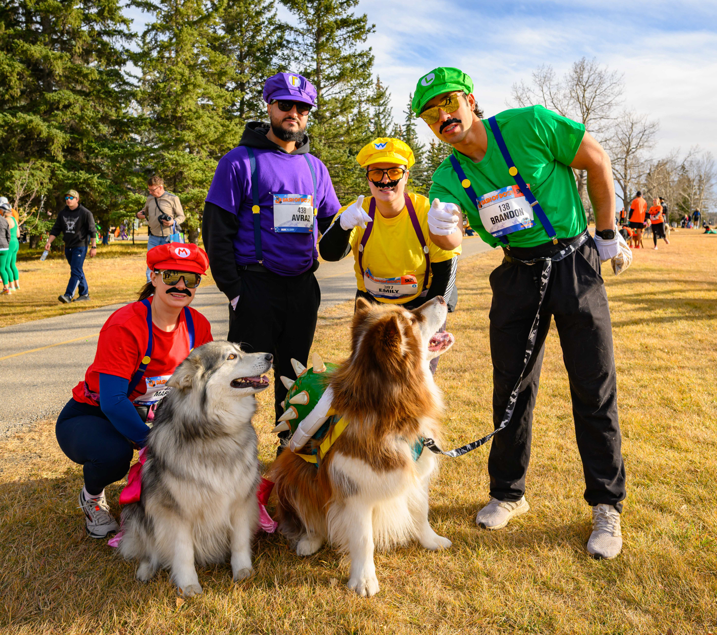 What to do in October Calgary